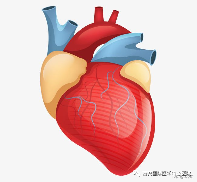 8個小技巧教你保護(hù)“心”里的“雙拼別墅”