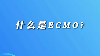 【名醫(yī)面對面之心臟100問】什么是ECMO？