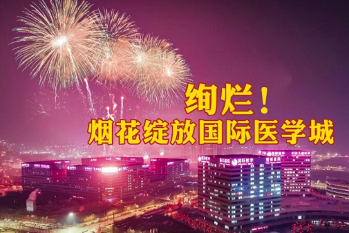 絢爛！煙花綻放國際醫(yī)學(xué)城